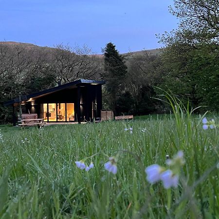 Quirky, Luxury Hideaway Villa Llanbrynmair Dış mekan fotoğraf