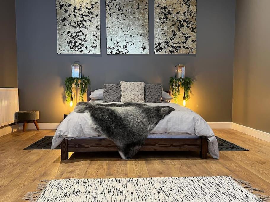 Quirky, Luxury Hideaway Villa Llanbrynmair Dış mekan fotoğraf